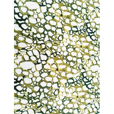 Lino y Viscosa estampado círculos verdes