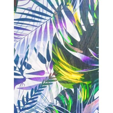 Gassa selva tropical