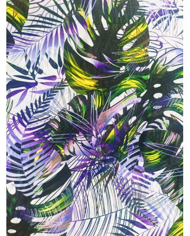 Gassa selva tropical