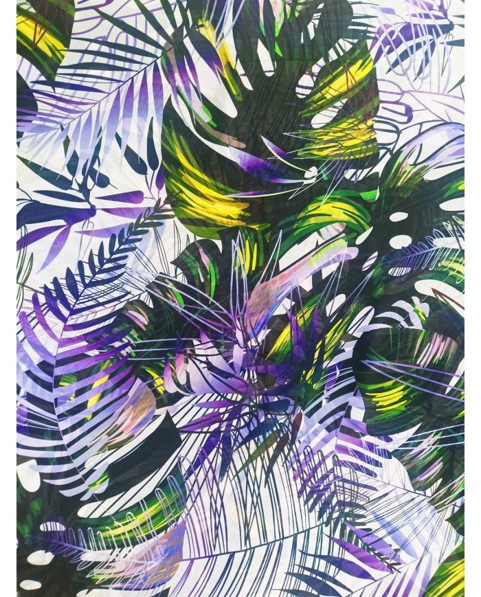 Gassa selva tropical