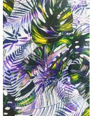 Gassa selva tropical