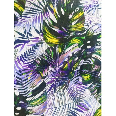 Gassa selva tropical