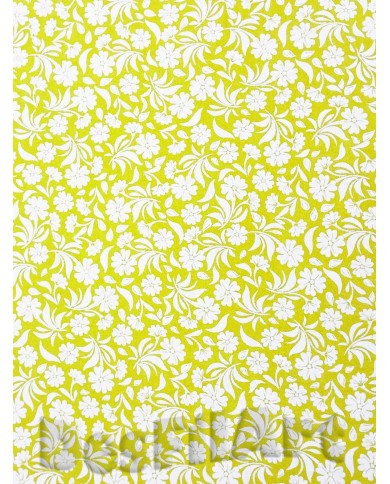 Algodón ocre flor blanca Algodón ocre flor blanca