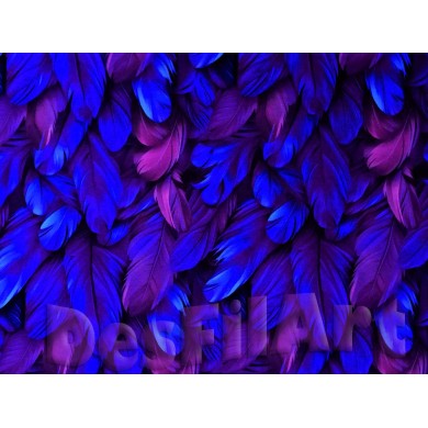 Punto de algodón plumas azules