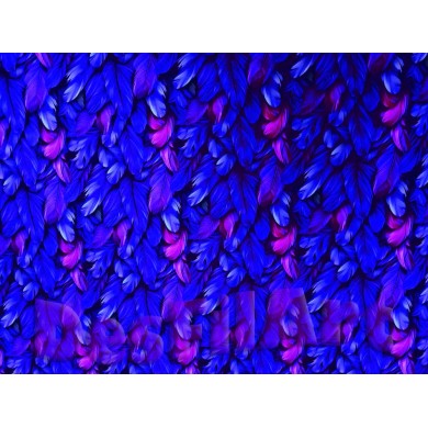 Punto de algodón plumas azules