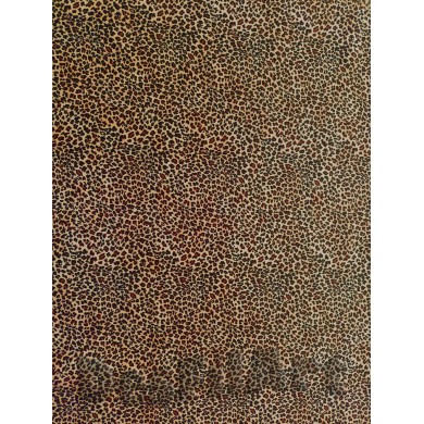 Viscosa viella felina