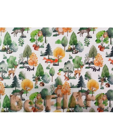 Cotó arbres i animals