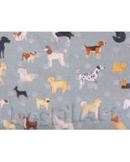 Algodón popelín líneas de colores